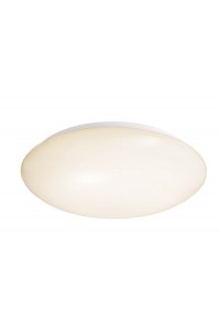 Потолочный светильник Deko-Light Euro LED 342010