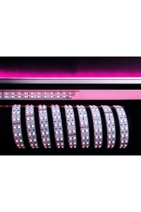 Лента светодиодная Deko-Light 5050-2x60-24V-RGB+6000K-3m 840061