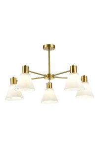 Потолочный светильник Evoluce ARKI SLE1561-302-05