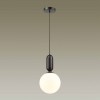 Подвесной светильник Odeon Light Pendant Okia 4668/1