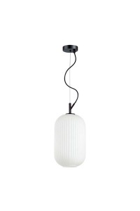 Подвесной светильник Odeon Light Pendant Roofi 4751/1