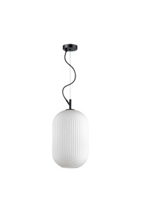 Подвесной светильник Odeon Light Pendant Roofi 4752/1