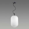 Подвесной светильник Odeon Light Pendant Roofi 4752/1