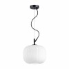 Подвесной светильник Odeon Light Pendant Roofi 4753/1