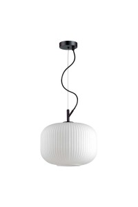 Подвесной светильник Odeon Light Pendant Roofi 4754/1