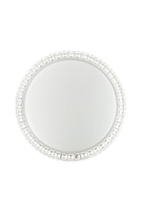 Настенно-потолочный светодиодный светильник Sonex Pale Brisa 2036/DL