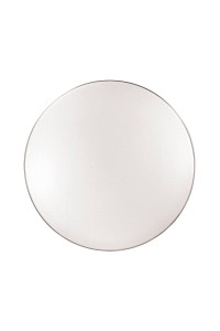 Настенно-потолочный светодиодный светильник Sonex Pale Leka 2051/CL