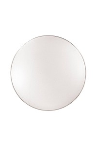 Настенно-потолочный светодиодный светильник Sonex Pale Leka 2051/DL