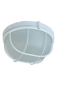 Настенно-потолочный светильник ЭРА Акватермо НБП 03-100-002 Б0048422