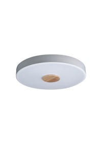 Потолочный светодиодный светильник Loft IT Axel 10003/24 white