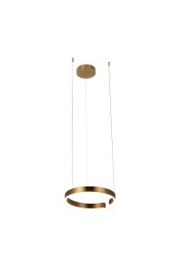 Подвесной светодиодный светильник Loft IT Ring 10013S