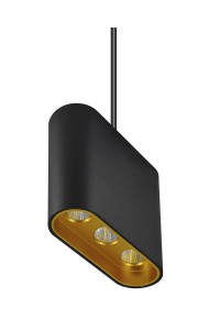 Подвесной светодиодный светильник Lumien Hall Элой 8004/3P-BK-GD