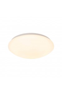 Потолочный светодиодный светильник SLV Lipsy 1002022